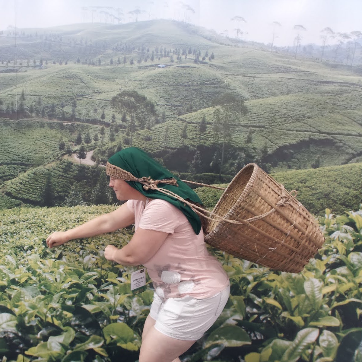 Tea Sipper Podcast 7 Naomi Rosen International Tea Sippers Society